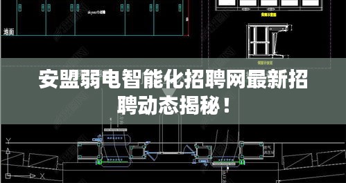 安盟弱电智能化招聘网最新招聘动态揭秘！