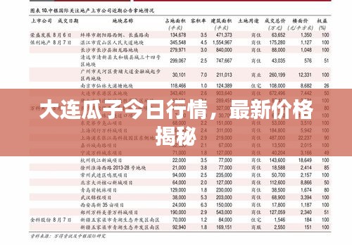 大连瓜子今日行情，最新价格揭秘