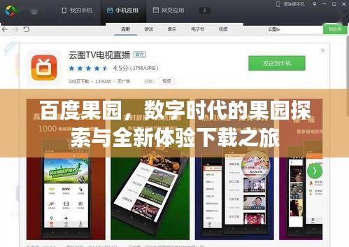 百度果园，数字时代的果园探索与全新体验下载之旅