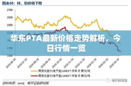 华东PTA最新价格走势解析，今日行情一览