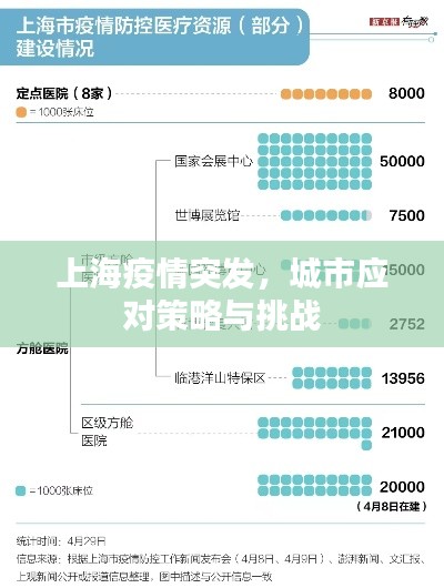 上海疫情突发，城市应对策略与挑战