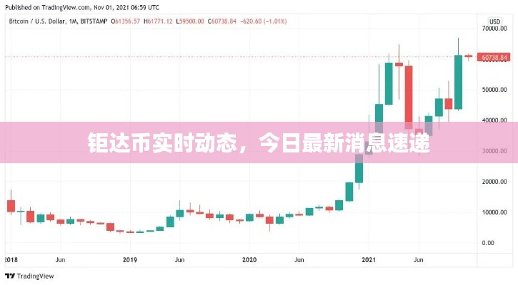 钜达币实时动态，今日最新消息速递