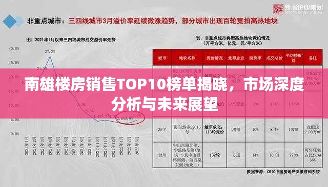 南雄楼房销售TOP10榜单揭晓，市场深度分析与未来展望