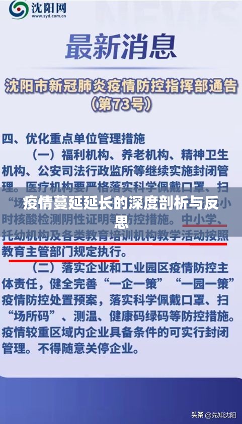 疫情蔓延延长的深度剖析与反思