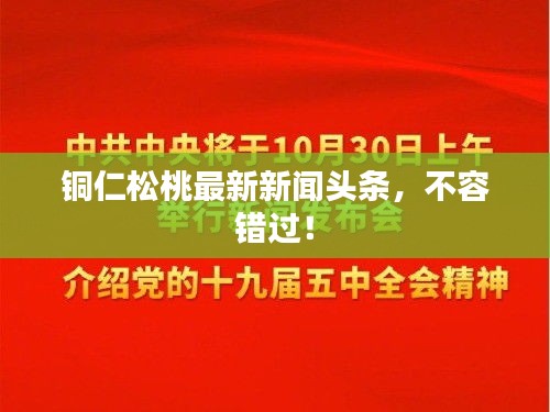 铜仁松桃最新新闻头条，不容错过！