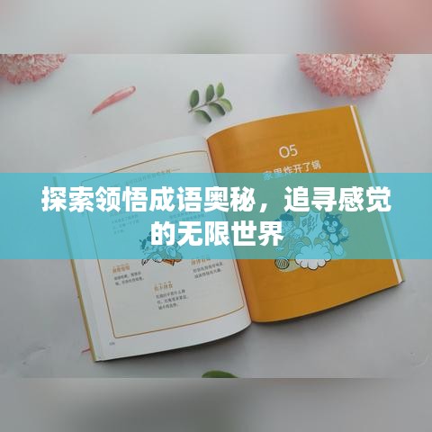 探索领悟成语奥秘，追寻感觉的无限世界