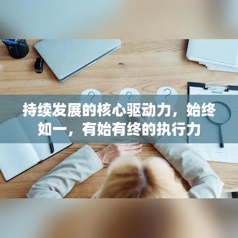 持续发展的核心驱动力，始终如一，有始有终的执行力