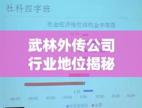 武林外传公司行业地位揭秘，谁领风骚，排名翘楚？