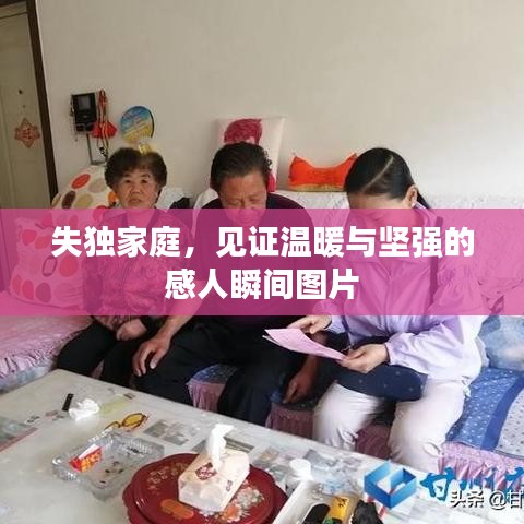 失独家庭，见证温暖与坚强的感人瞬间图片