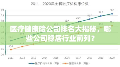 医疗健康险公司排名大揭秘，哪些公司稳居行业前列？