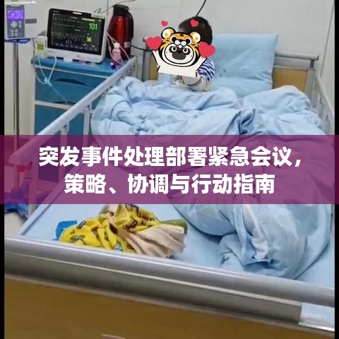 突发事件处理部署紧急会议，策略、协调与行动指南