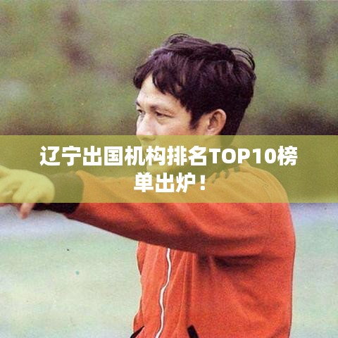 辽宁出国机构排名TOP10榜单出炉！