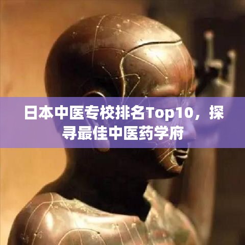 日本中医专校排名Top10，探寻最佳中医药学府