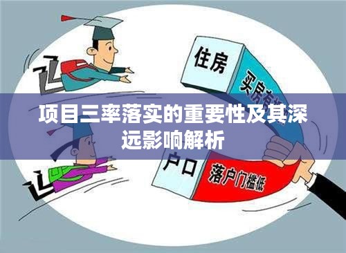 项目三率落实的重要性及其深远影响解析