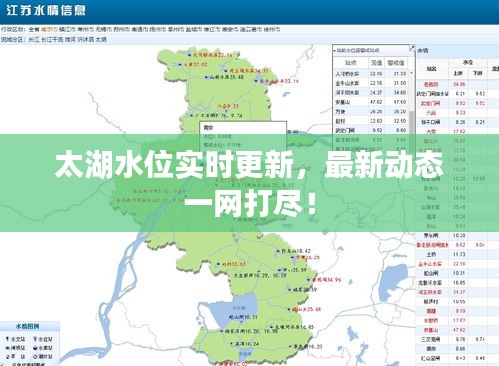 太湖水位实时更新，最新动态一网打尽！