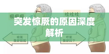 突发惊厥的原因深度解析