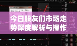 今日股友们市场走势深度解析与操作策略探讨视频发布