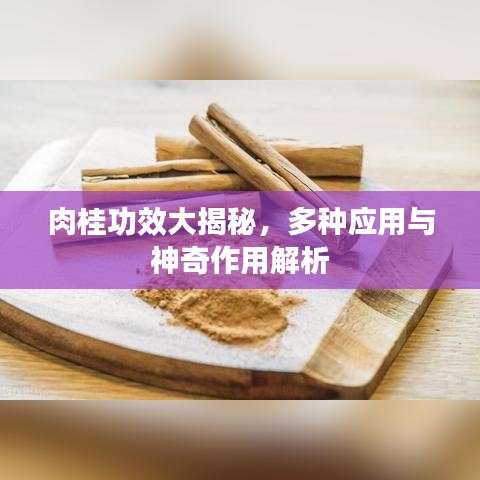 肉桂功效大揭秘，多种应用与神奇作用解析