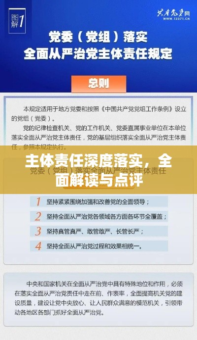 主体责任深度落实，全面解读与点评