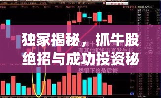 独家揭秘，抓牛股绝招与成功投资秘密武器，让你轻松掌握投资之道！