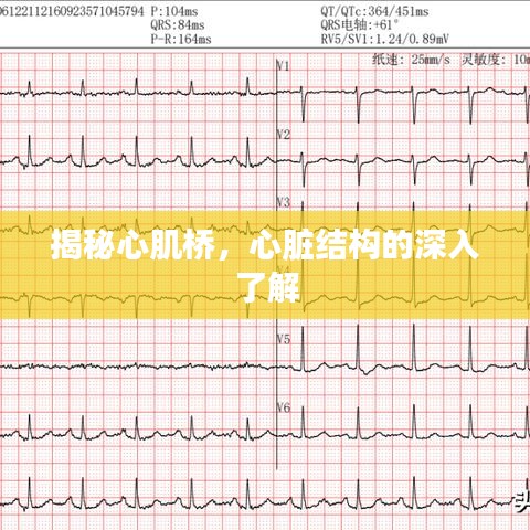 揭秘心肌桥，心脏结构的深入了解