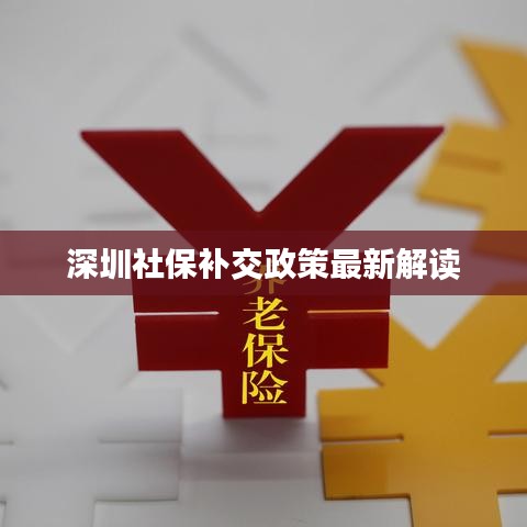 深圳社保补交政策最新解读