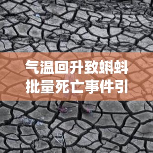 气温回升致蝌蚪批量死亡事件引发关注