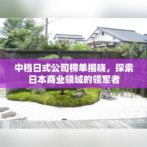 中档日式公司榜单揭晓，探索日本商业领域的领军者