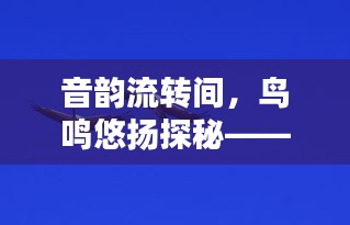 音韵流转间，鸟鸣悠扬探秘——揭秘不断鸟号的奥秘