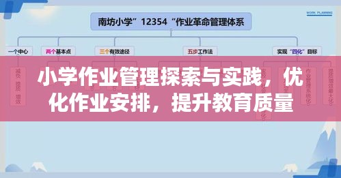 小学作业管理探索与实践，优化作业安排，提升教育质量