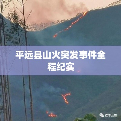 平远县山火突发事件全程纪实