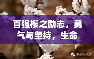 百强樱之励志，勇气与坚持，生命之花的绽放