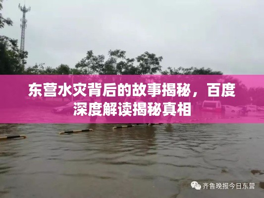 东营水灾背后的故事揭秘，百度深度解读揭秘真相