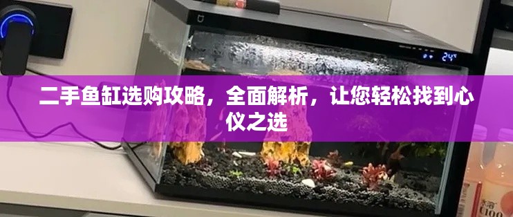 二手鱼缸选购攻略，全面解析，让您轻松找到心仪之选