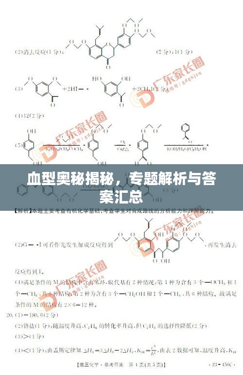 血型奥秘揭秘，专题解析与答案汇总