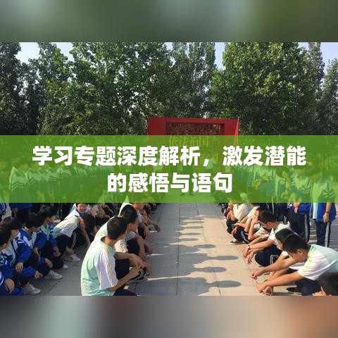 学习专题深度解析，激发潜能的感悟与语句