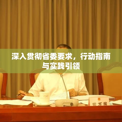 深入贯彻省委要求，行动指南与实践引领