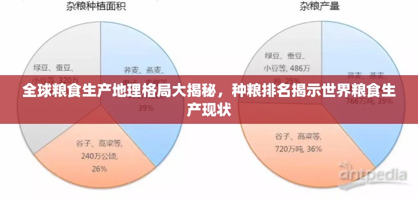 全球粮食生产地理格局大揭秘，种粮排名揭示世界粮食生产现状