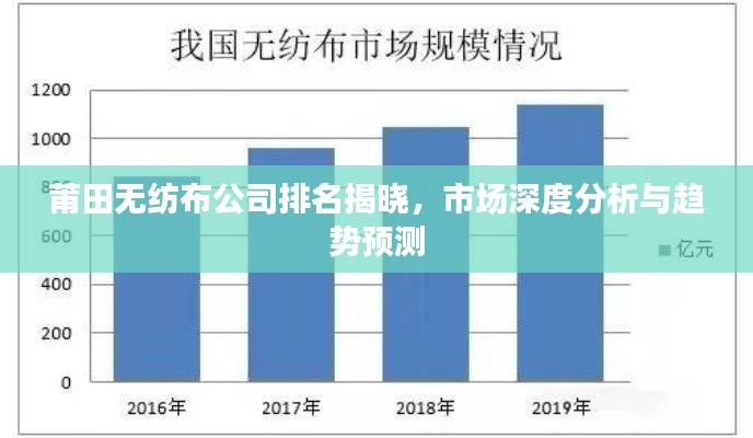 莆田无纺布公司排名揭晓，市场深度分析与趋势预测