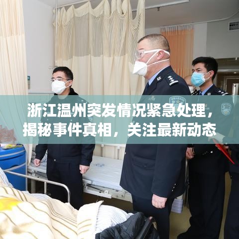 浙江温州突发情况紧急处理，揭秘事件真相，关注最新动态