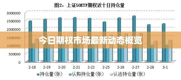 今日期权市场最新动态概览