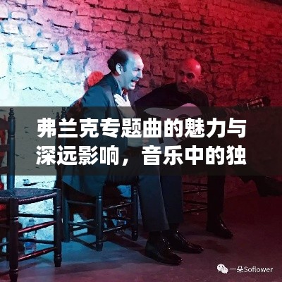 弗兰克专题曲的魅力与深远影响，音乐中的独特韵味与震撼力量