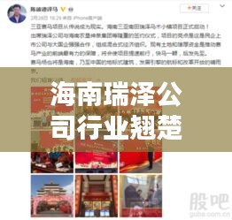 海南瑞泽公司行业翘楚地位显赫