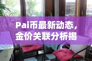 Pai币最新动态，金价关联分析揭秘！