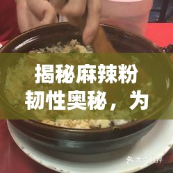 揭秘麻辣粉韧性奥秘，为何咬不断？