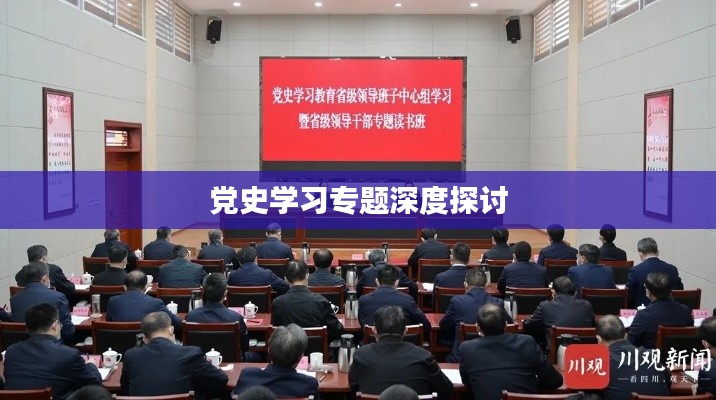 党史学习专题深度探讨