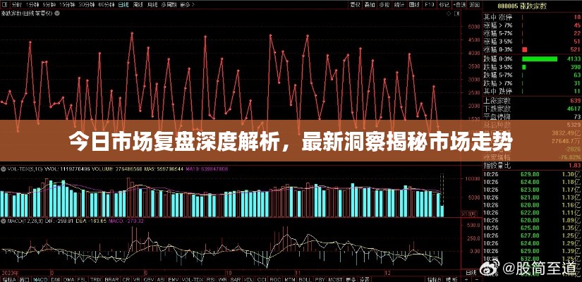 今日市场复盘深度解析，最新洞察揭秘市场走势