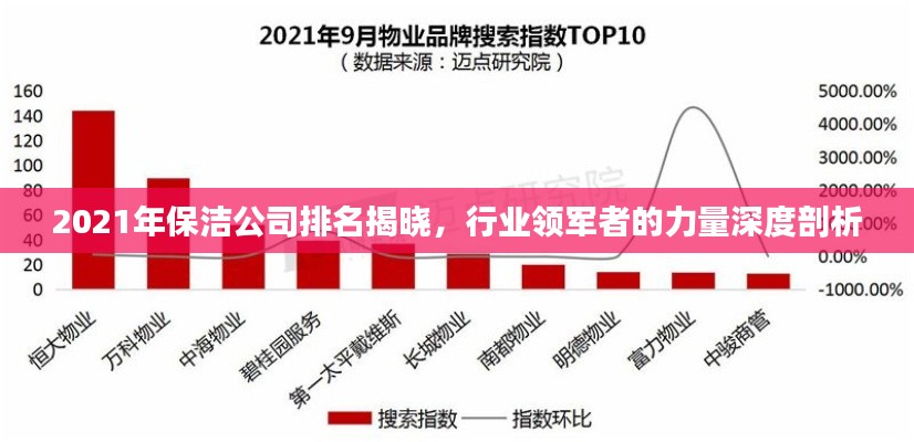 2021年保洁公司排名揭晓，行业领军者的力量深度剖析