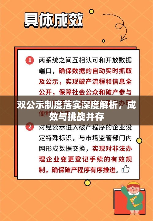 双公示制度落实深度解析，成效与挑战并存