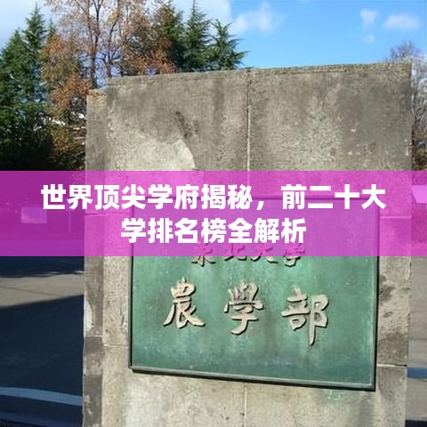 世界顶尖学府揭秘，前二十大学排名榜全解析